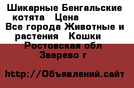 Шикарные Бенгальские котята › Цена ­ 25 000 - Все города Животные и растения » Кошки   . Ростовская обл.,Зверево г.